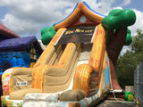 Tree House Slide