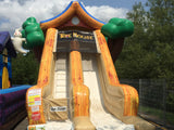 Tree House Slide